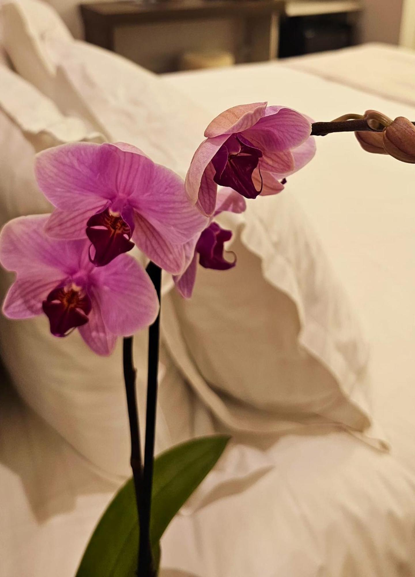 Stoa Rome Boutique Suites Kültér fotó